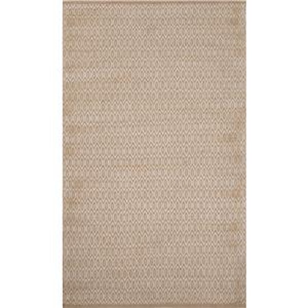 5 x 8 Rug