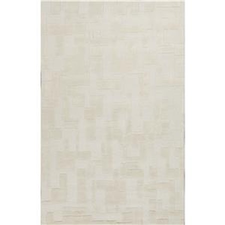 8 x 10 Rug
