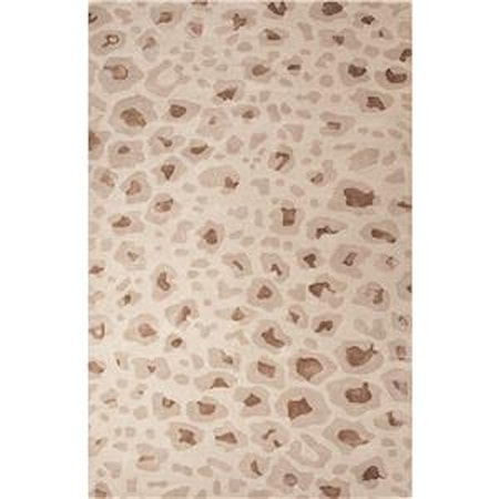 5 x 8 Rug