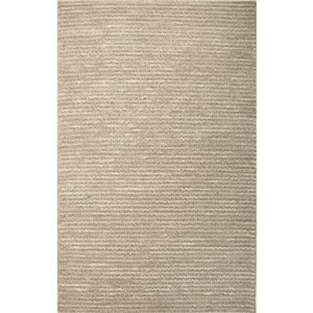 8 x 10 Rug