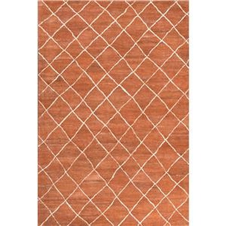 4 x 6 Rug