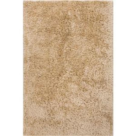 5 x 8 Rug
