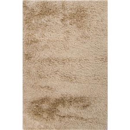 2 x 3 Rug