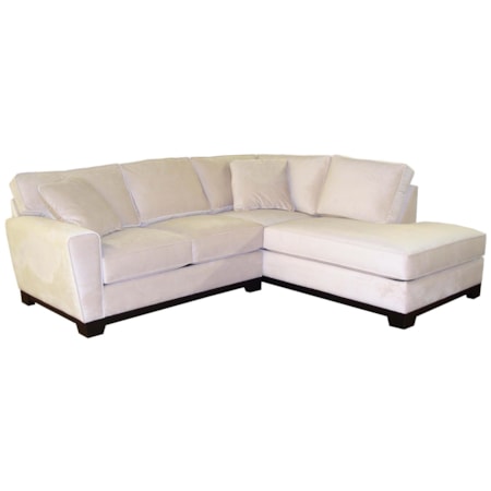 2 Piece Sectional