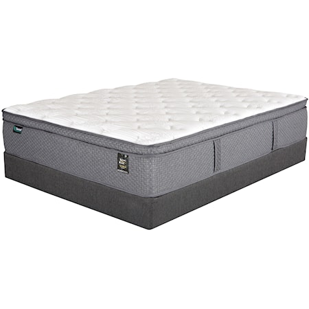 Twin XL Pocketed Coil Mattress Set