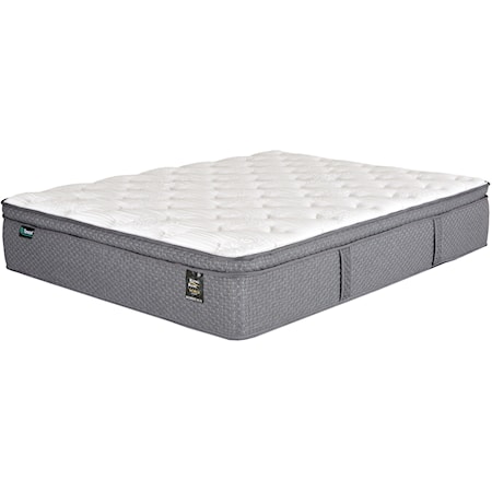 Queen Pocketed Coil Mattress Set