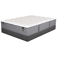 King Plush Pocketed Coil Mattress and Foundation