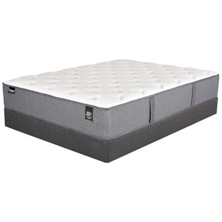 Queen Pocketed Coil Mattress Set
