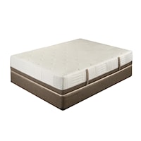 Twin Luxury Firm Mattress and Foundation