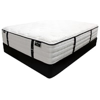 Twin XL Plush Pocketed Coil Mattress and Foundation