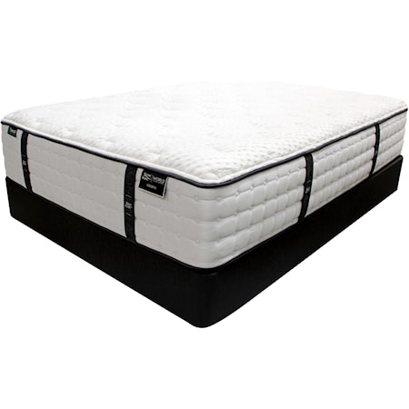 Twin XL Pocketed Coil Mattress Set