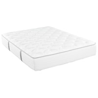 Twin Plush Pocketed Coil Mattress