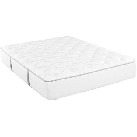 Twin Plush Pocketed Coil Mattress