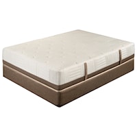 Twin Extra Long Extended Life Cushion Firm Mattress and 9" Extended Life Foundation