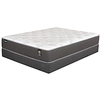 Queen Plush Pocketed Coil Mattress and Foundation