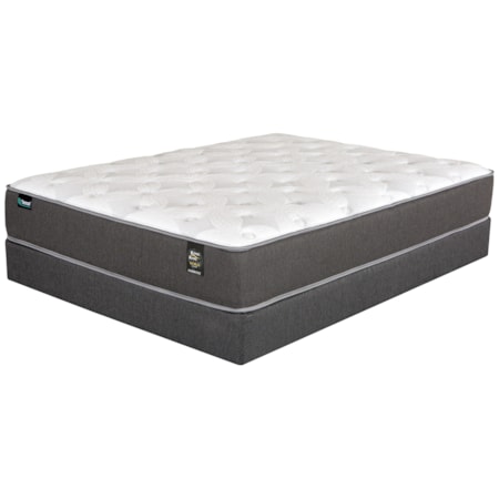 Twin XL Pocketed Coil Mattress Set