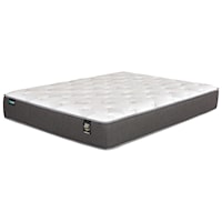 Twin Plush Pocketed Coil Mattress and Surge Adjustable Base with Massage