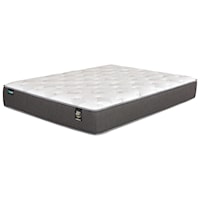 Twin XL Plush Pocketed Coil Mattress