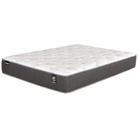Twin Pocketed Coil Mattress Set