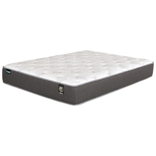 Twin XL Plush Pocketed Coil Mattress and Surge Adjustable Base with Massage