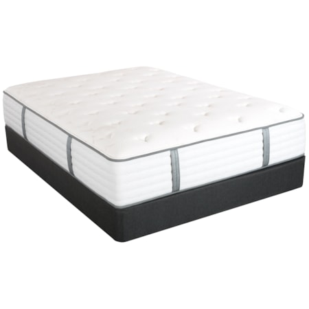 Queen Plush Pocketed Coil Mattress Set