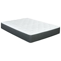 Twin Extra Long 11" Plush Pocketed Coil Mattress