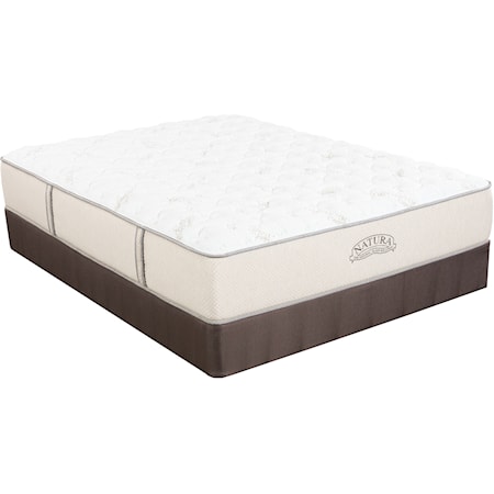 Queen 12" Plush Hybrid Mattress Set