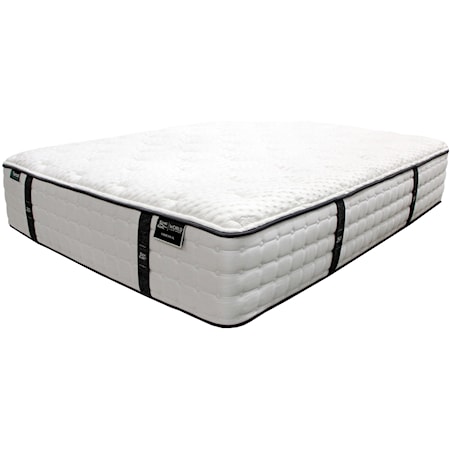 Twin XL Plush Pocketed Coil Mattress and Caliber Adjustable Base