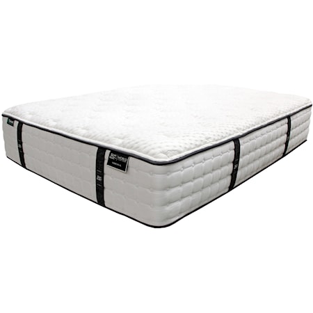 Twin XL Pocketed Coil Mattress Set