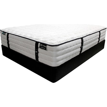 Queen Pocketed Coil Mattress Set