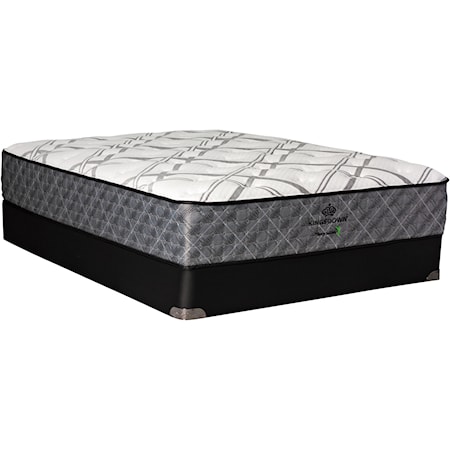 Queen Plush Coil on Coil Mattress and 5" Low Profile Box Spring