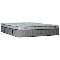 Twin Extra Long 16 1/2" Plush Box Top Luxury Mattress