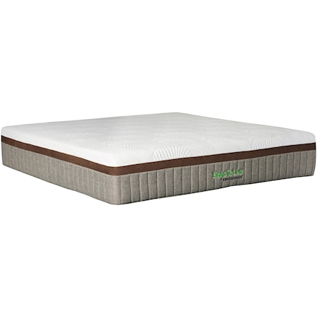 Twin Extra Plush Memory Foam Mattress