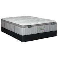 Twin Back Smart Series 500 Mattress and 9" Box Spring