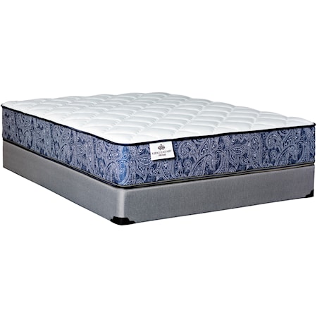 Queen 12" Pocketed Coil Mattress Set