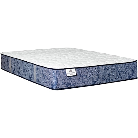 Twin Extra Long 13" Firm Coil on Coil Mattress and Motion Delight Adjustable Base
