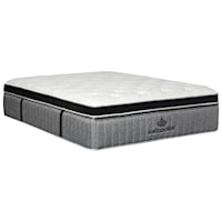 Twin Extra Long 16 1/2" Plush Coil on Coil Mattress