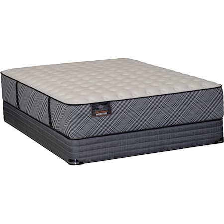 Twin Firm Mattress Set