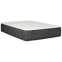 Queen 14 1/2" Firm Pocketed Coil Mattress and LP Plus Adjustable Base