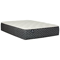 Twin Extra Long 14 1/2" Plush Pocketed Coil Mattress