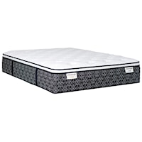 Queen Plush Euro Top Pocketed Coil Mattress