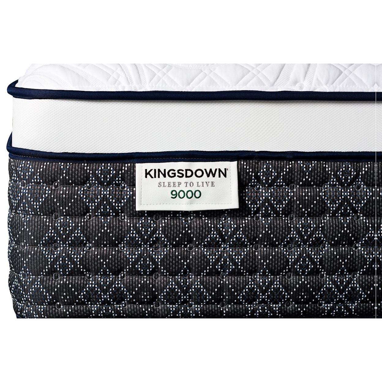 Kingsdown Sleep to Live 9000 Gold Blue ET Queen Pocketed Coil Mattress LoPro Set