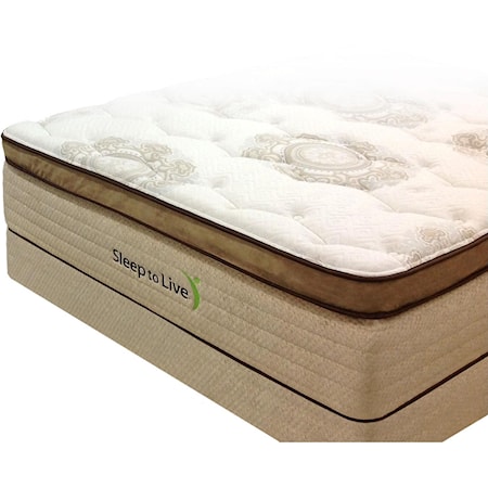 Queen Pocketed Coil Mattress Set