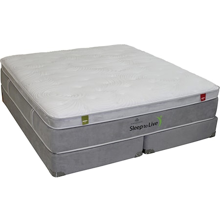 Queen Foam Mattress