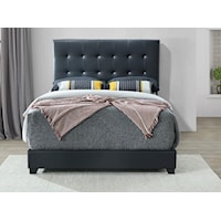 Patrick Black Queen Upholstered Low Profile Bed