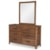 Legacy Classic Kids Summer Camp Casual Contemporary Dresser and Mirror Set