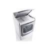 LG Appliances Dryers 9.0 Cu. Ft. Capacity Electric Steam Dryer