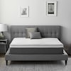 Malouf DayRise120PMH 12 INCH PLUSH HYBRID MATTRESS - EAST KING