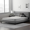 Malouf DAYRISE7 7 inch Innerspring Mattress East King