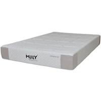 Queen Gel Memory Foam Mattress